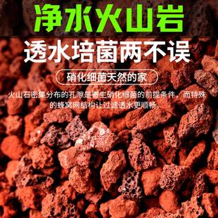 火山石净水滤材透水培菌两不误鱼缸造景天然鱼缸躲避增氧过滤材料