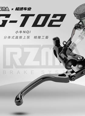 瑞祖玛GT02 PRO直推上泵适用机车 xmax300 小牛NX FX九号刹车上泵