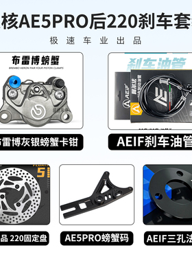 正品Brembo布雷博小螃蟹卡钳适用极核AE5 AE4 九号M395C MZ E300P