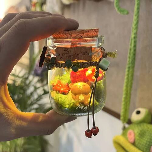 高级感小熊玻璃罐微景观DIY材料