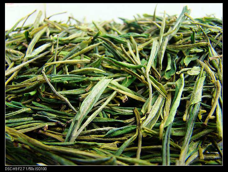 山客来新茶安吉白茶白片 龙井43 办公家居用茶 特价500克浓香型