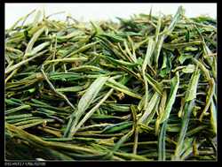山客来新茶安吉白茶白片 龙井43 办公家居用茶 特价500克浓香型