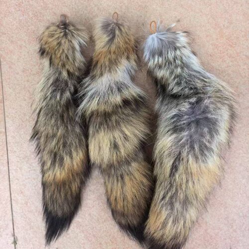 郊狼尾巴猫玩具猫咪闻嗅陪玩动物