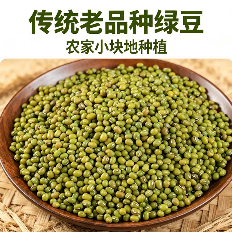 农家绿豆自产老品种新鲜可发芽绿绿豆