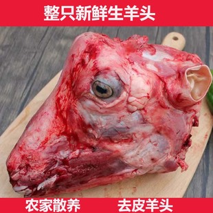 羊头新鲜整只生羊头去皮羊头带皮羊头羊头肉羊脸肉羊杂商用清真