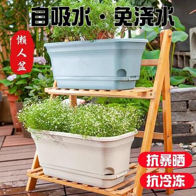 长方形花盆长条型阳台专用带托盘加高懒人自动吸水种菜室内种植盆