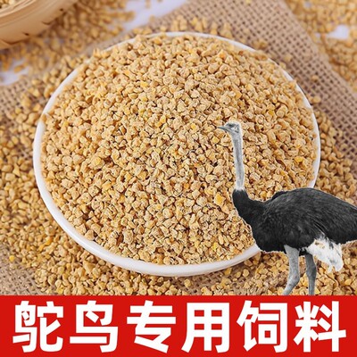 鸵鸟专用饲料中大鸡高营