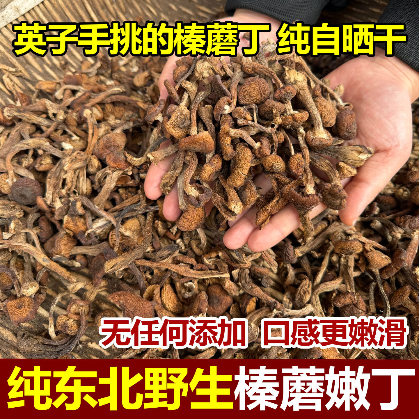 东北野生榛蘑丁干货长白山特产榛蘑嫩芽无硫无根特级小个头黄金芽