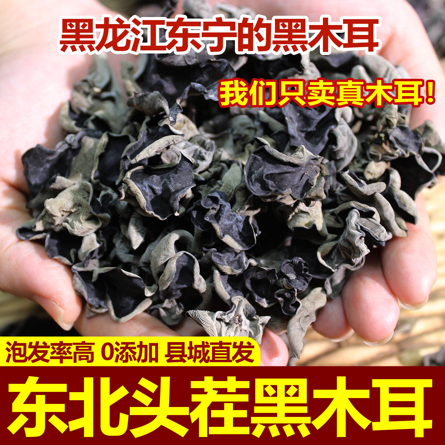 东北黑木耳干货头茬秋木耳500g无根肉厚小碗耳东宁黑木耳产地直发