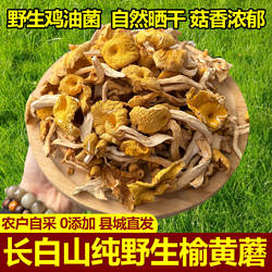 东北野生榆黄蘑干货农家晾晒长白山特产鸡油菌新货无硫煲汤金黄蘑