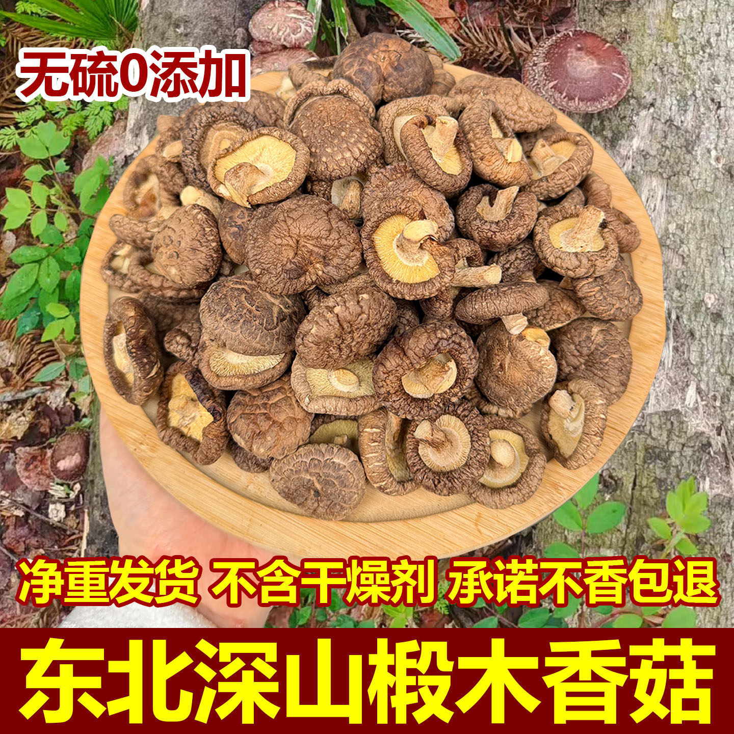 长白山椴木小香菇干货无硫剪根香菇农家珍珠菇肉厚东北特产级香菇