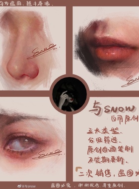 与snow笔刷Procreate人像厚涂全套打包 油画＋金属笔刷