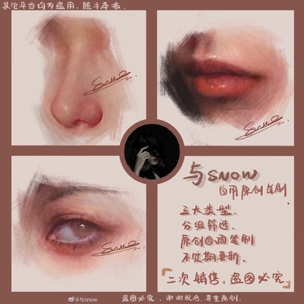 与snow笔刷Procreate人像厚涂全套打包 油画＋金属笔刷
