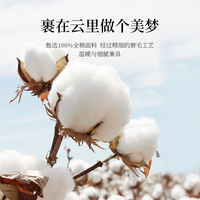 多喜爱美眠康纯棉秋冬磨毛四件套全棉亲肤床单被套床上用品