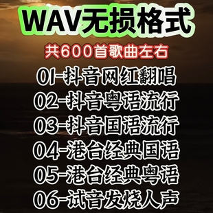 WAV无损车载音乐u盘 抖音 快手 网红翻唱 流行 经典老歌 无陨音乐