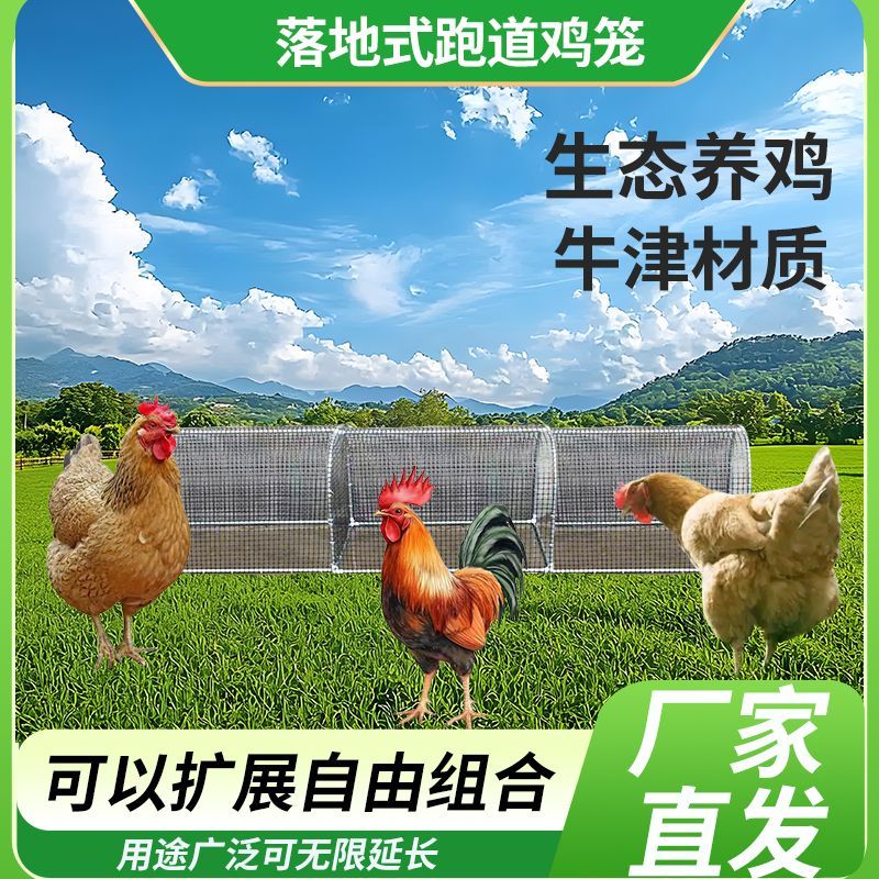 隧道笼子农场户外溜达鸡笼子庭院