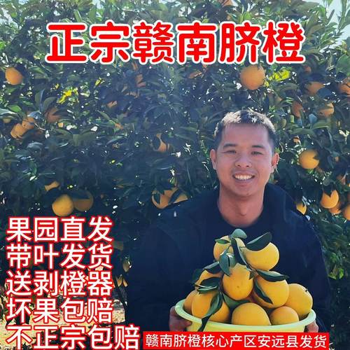 正宗赣南脐橙当季孕妇新鲜好吃水果现摘现发带叶发货现货甜橙子