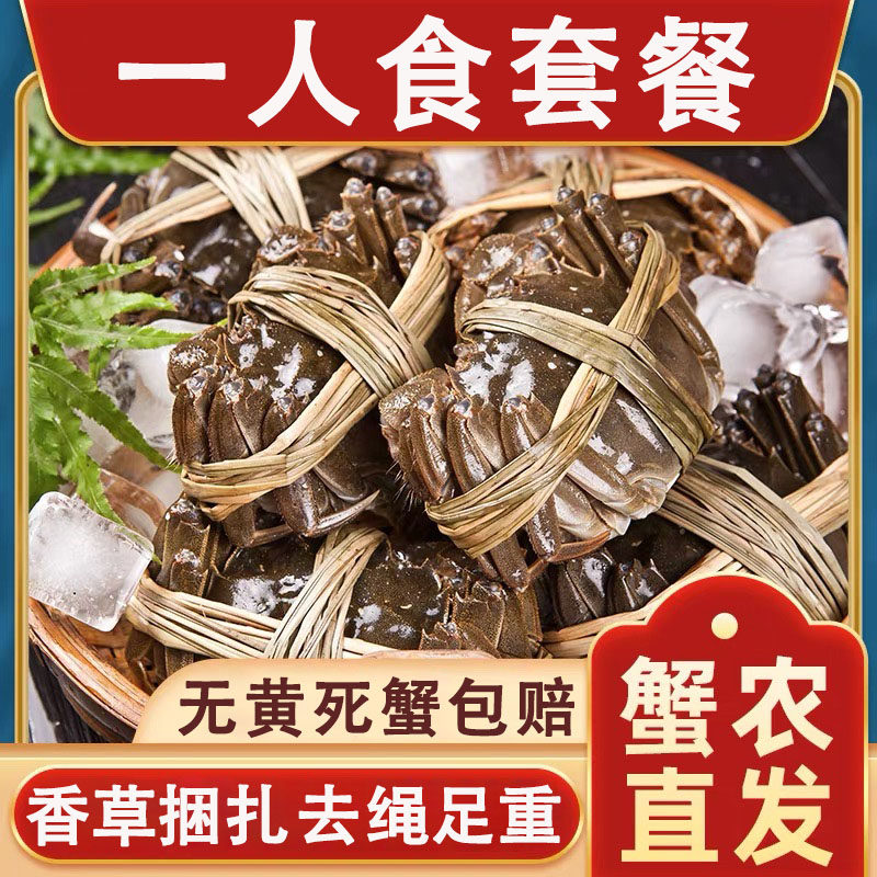 一人食大闸蟹鲜活满黄去绳净重