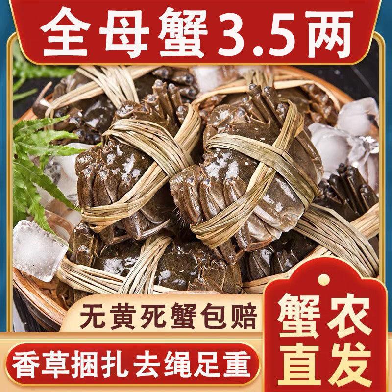 鲜活蟹江苏洪泽湖大闸蟹 3.3-3.7两 去绳净重 满黄母螃蟹礼盒装