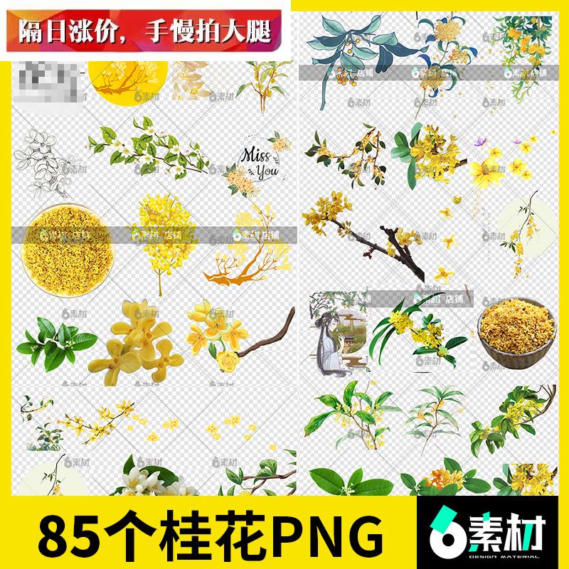 桂花手绘黄色小花朵植物漂浮花瓣水彩古风ps免抠png图片设计素材