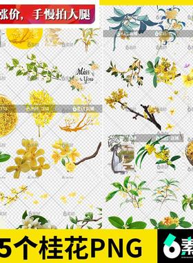 桂花手绘黄色小花朵植物漂浮花瓣水彩古风ps免抠png图片设计素材