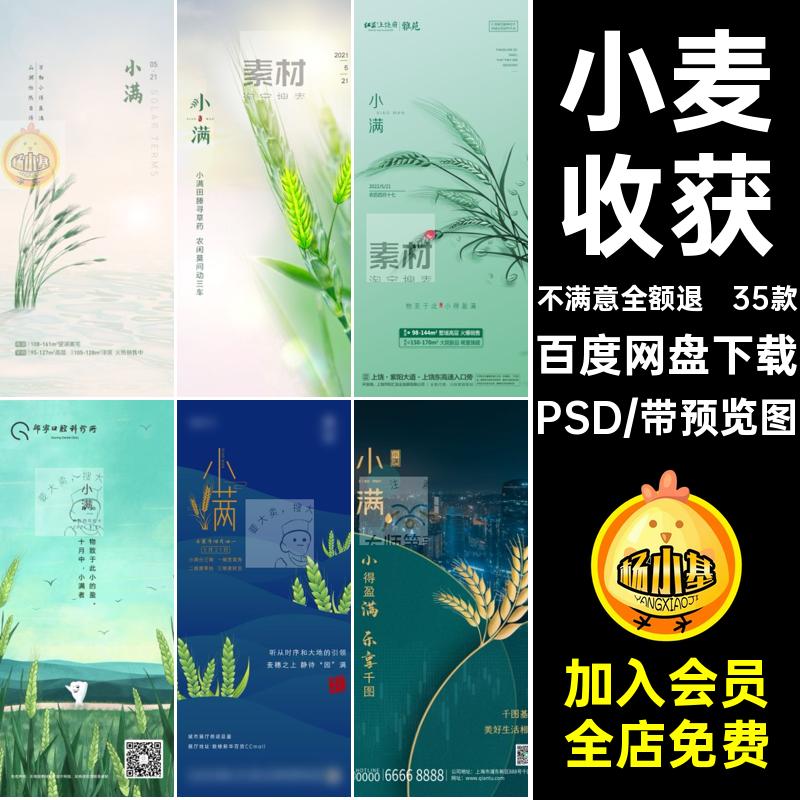 小满节气PSD宣传小麦收获psd插画海报设计二十四企业推广素材24