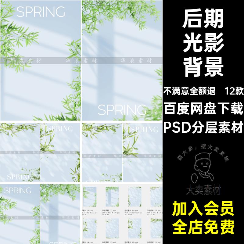 实景竹子光影情侣婚纱照背景影楼后期照片合成PSD模板设计素材图