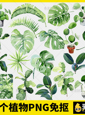 20个盆栽水彩PNG免抠ps装饰树叶森免扣PNG免抠图片素材绿png手绘