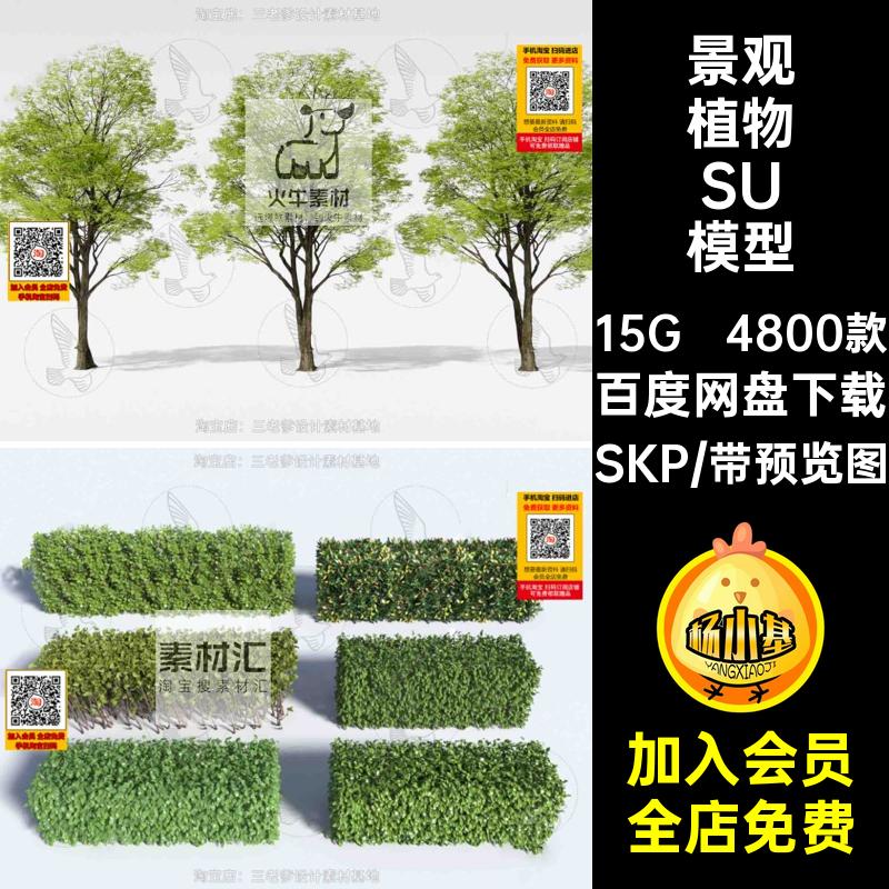4800款庭院植物SU模型库SKP花卉花草树木大师灌木乔木真实草图