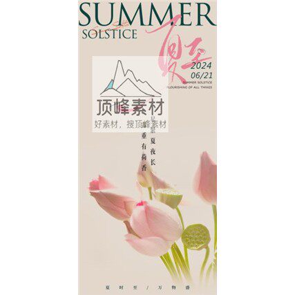 夏至节气传统国风清新荷花夏天活动宣传广告海报模板PSD设计素