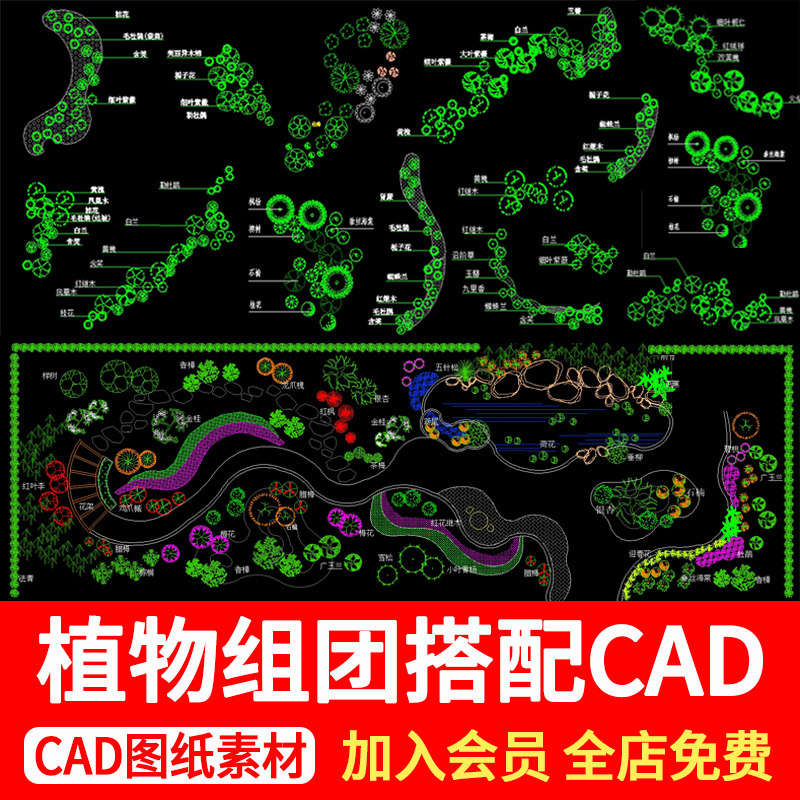 园林植物组团搭配cad图景观花境设计花草灌木种植绿化配置平面图
