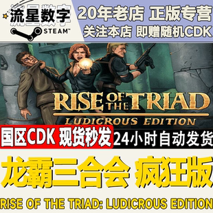 Triad激活码 Steam正版 CDKEY the 国区KEY龙霸三合会疯狂版 Rise