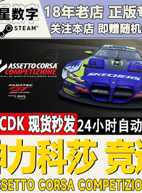 Steam正版国区Key神力科莎竞速/争锋 Assetto Corsa Competizione