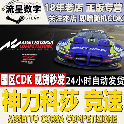 Steam神力科莎竞速正版国区KEY