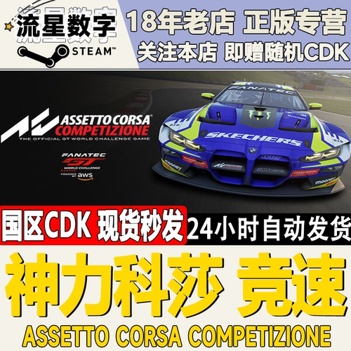 Steam神力科莎竞速正版国区KEY