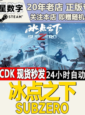 冰点之下SubZero激活码CDK