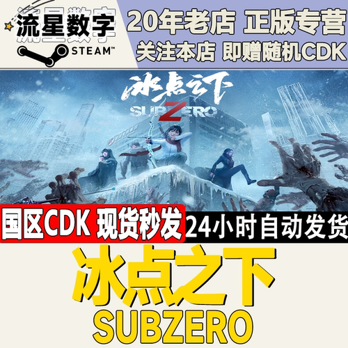 冰点之下SubZero激活码CDK