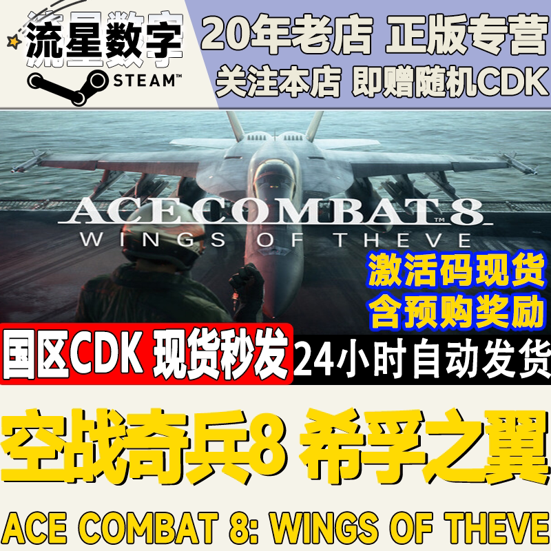 Steam正版国区KEY空战奇兵8希孚之翼ACE COMBAT 8激活码CDKEY现货