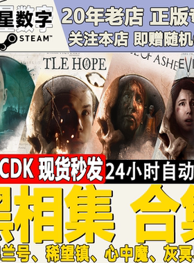 pc中文正版steam游戏黑相集冥界
