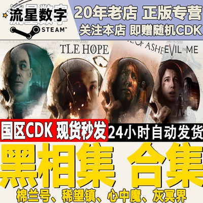 pc中文正版steam游戏黑相集冥界