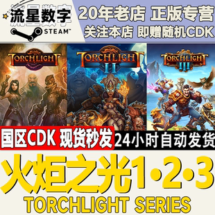 Steam正版国区KEY 火炬之光1 2 3Torchlight Series 激活码CDKEY
