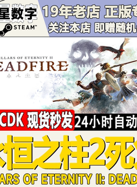 Steam永恒之柱2死火CDKEY现货