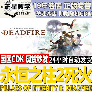 死火 永恒之柱2 國區KEY CDKEY現貨 本 激活碼 黑曜石版 Steam正版