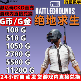 G币 兑换码 金币吃鸡gb游戏币 皮肤激活码 CDK 工坊 PUBG绝地求生