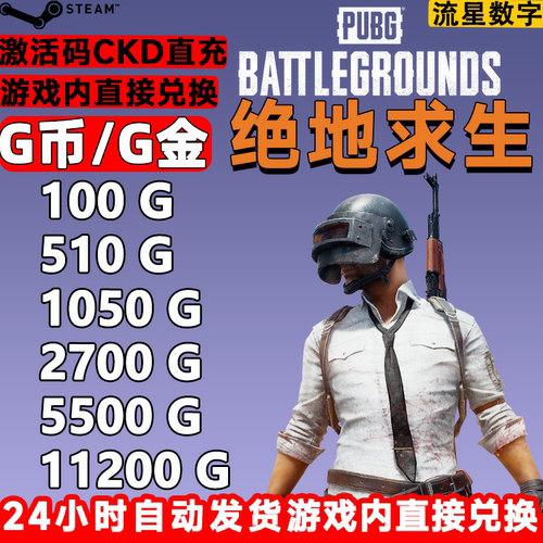 吃鸡PUBGG币兑换码现货秒发