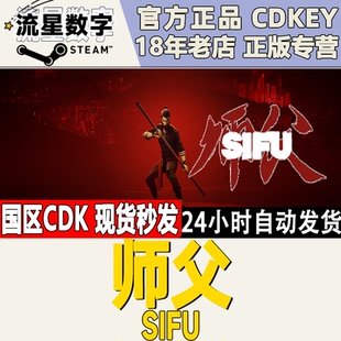 Steam正版国区KEY 师傅 师父 shifu sifu 动作 格斗