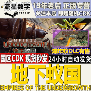 Empires 地下蚁国 the 现货 Steam正版 Undergrowth 国区KEY