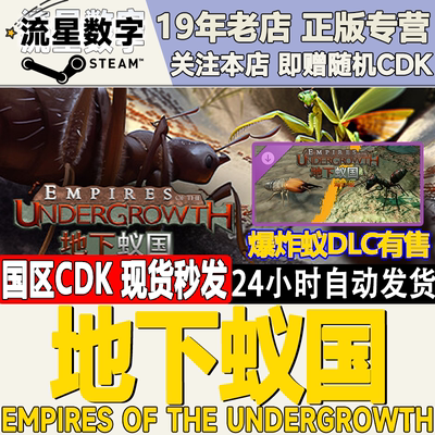 Steam地下蚁国国区KEY现货