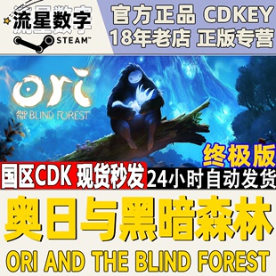 Blind 迷失森林 and the Ori Forest PC正版 精灵奥日与黑暗 Steam