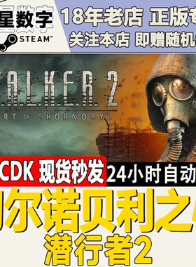 Steam正版国区KEY 潜行者2 切尔诺贝利之心 激活码CDKEY现货秒发